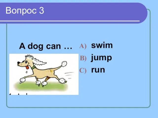 Вопрос 3 A dog can … swim jump run