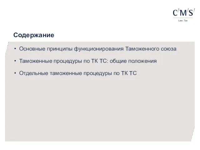 Содержание Основные принципы функционирования Таможенного союза Таможенные процедуры по ТК ТС: