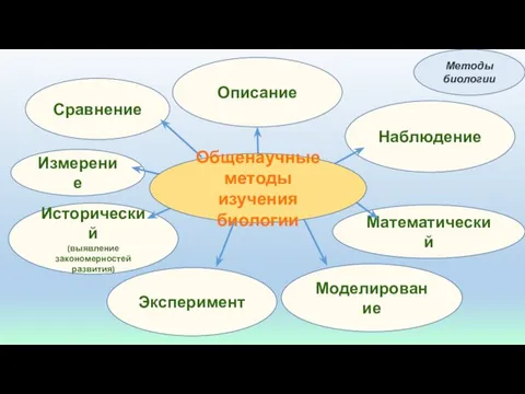 Сравнение Наблюдение Исторический (выявление закономерностей развития) Эксперимент Моделирование Описание Математический Методы