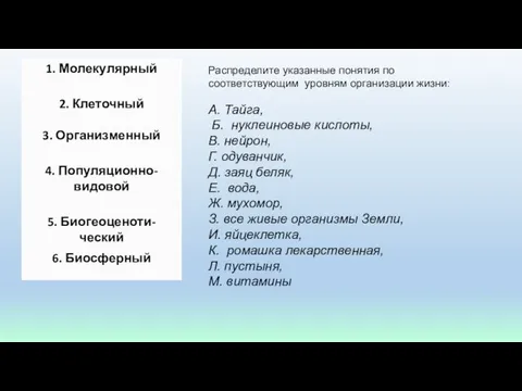 Распределите указанные понятия по соответствующим уровням организации жизни: А. Тайга, Б.