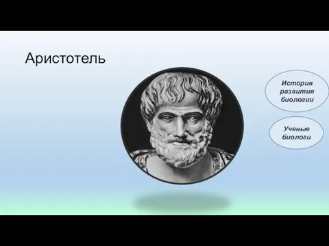 Аристотель Ученые биологи История развития биологии