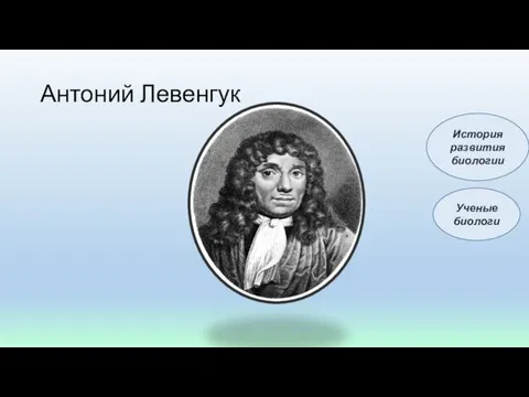 Антоний Левенгук Ученые биологи История развития биологии