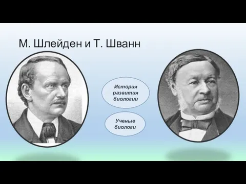 М. Шлейден и Т. Шванн Ученые биологи История развития биологии