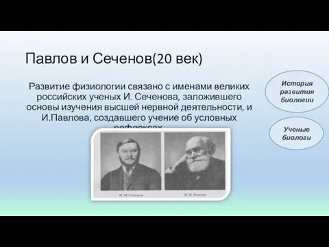 Павлов и Сеченов(20 век) Развитие физиологии связано с именами великих российских