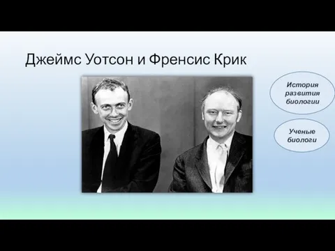 Джеймс Уотсон и Френсис Крик Ученые биологи История развития биологии