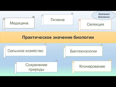 Практическое значение биологии Медицина Гигиена Селекция Сельское хозяйство Сохранение природы Биотехнологии Клонирование Значение биологии