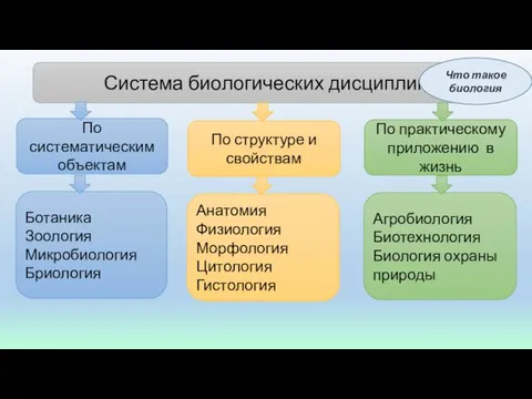 Система биологических дисциплин По систематическим объектам По структуре и свойствам По