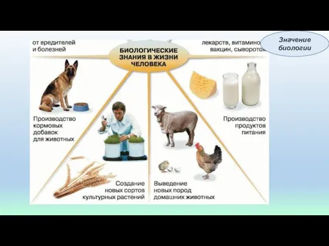 Значение биологии