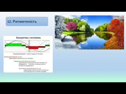 12. Ритмичность