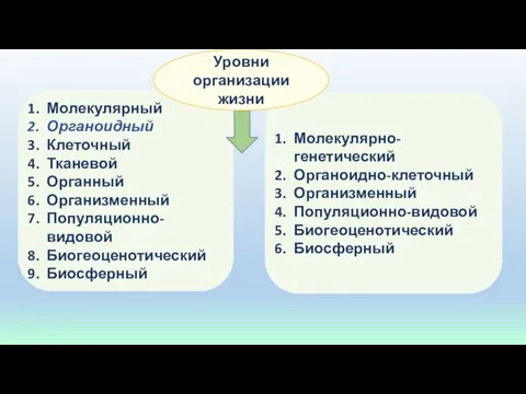 Молекулярный Органоидный Клеточный Тканевой Органный Организменный Популяционно-видовой Биогеоценотический Биосферный Молекулярно-генетический Органоидно-клеточный