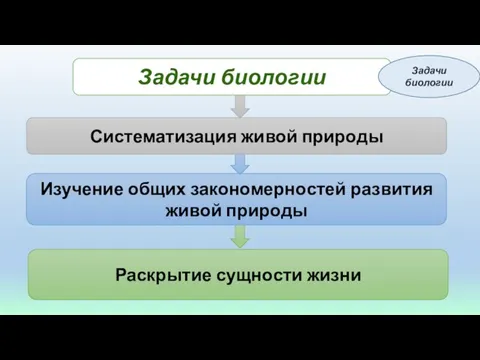 Раскрытие сущности жизни Изучение общих закономерностей развития живой природы Систематизация живой природы Задачи биологии Задачи биологии