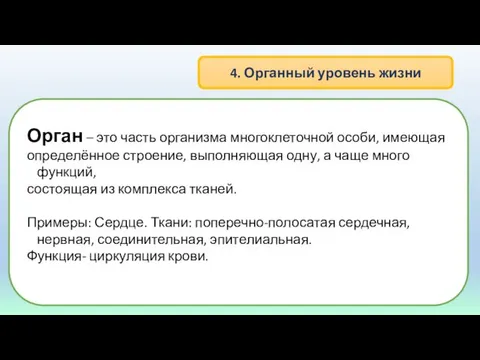 4. Органный уровень жизни Орган – это часть организма многоклеточной особи,