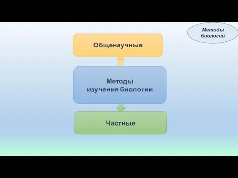 Общенаучные Частные Методы изучения биологии Методы биологии