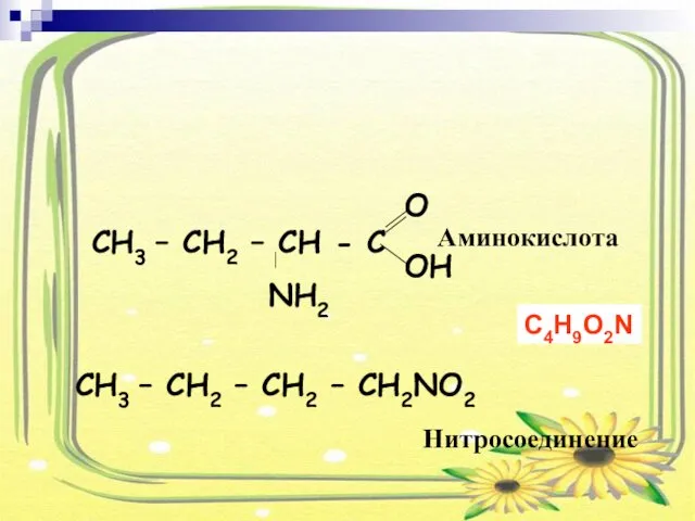 3. Межклассовая изомерия CH3 – CH2 – CH2 – CH2NO2 Аминокислота Нитросоединение C4H9O2N