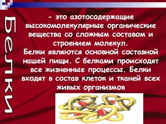 - это азотосодержащие высокомолекулярные органические вещества со сложным составом и строением