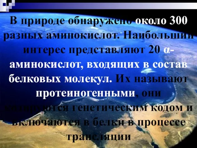 В природе обнаружено около 300 разных аминокислот. Наибольший интерес представляют 20