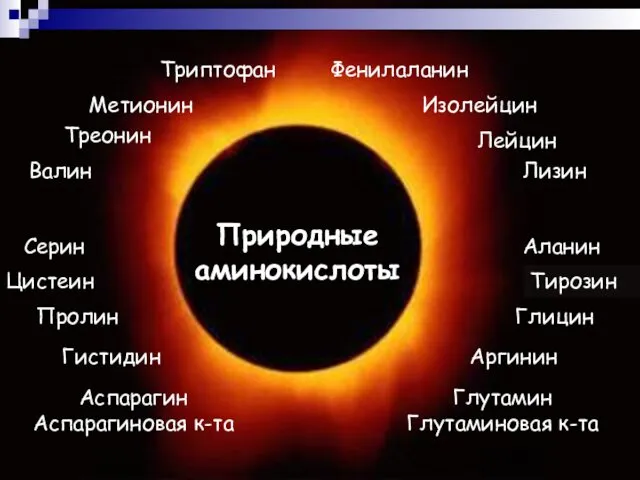 Аланин Валин Лейцин Изолейцин Метионин Фенилаланин Триптофан Треонин Лизин Цистеин Тирозин