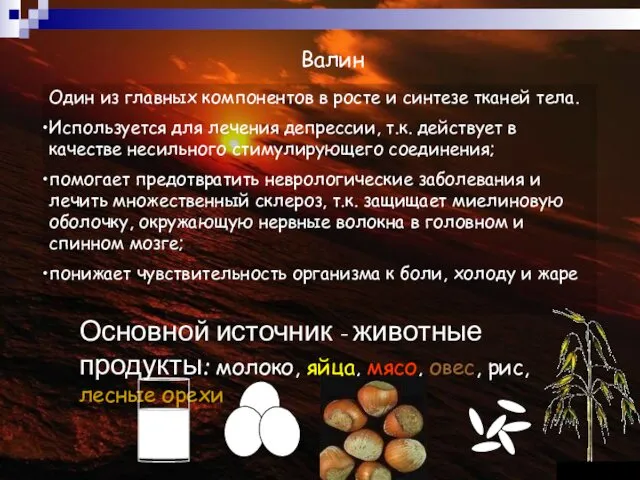 Валин Один из главных компонентов в росте и синтезе тканей тела.