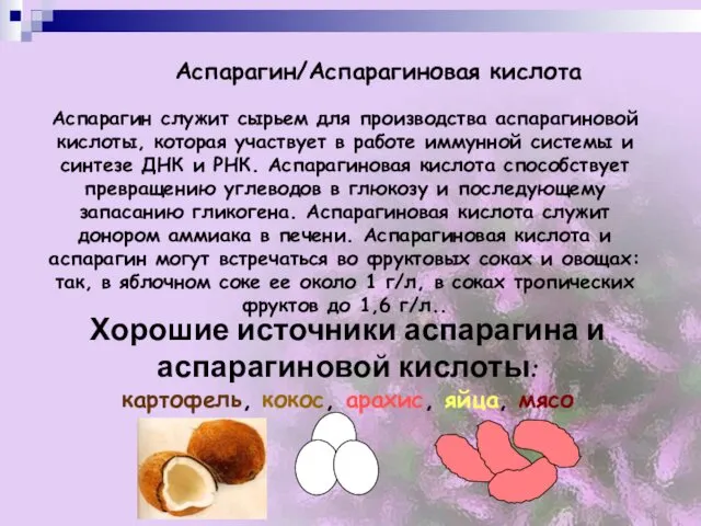 Аспарагин/Аспарагиновая кислота Аспарагин служит сырьем для производства аспарагиновой кислоты, которая участвует