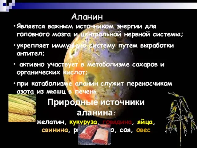 Аланин Является важным источником энергии для головного мозга и центральной нервной