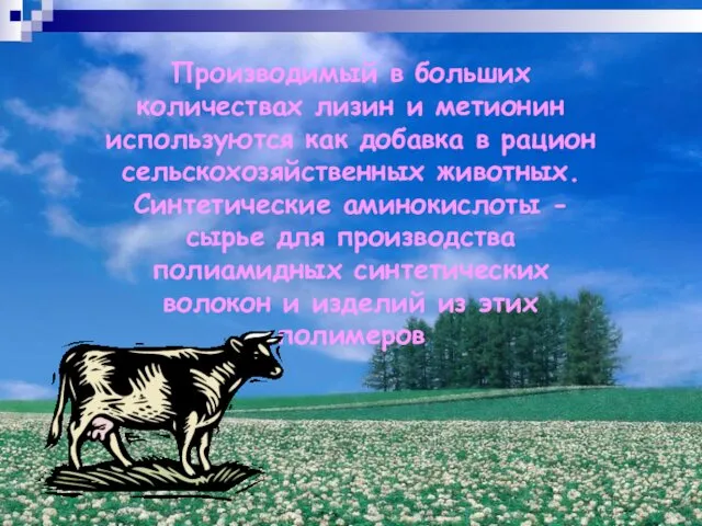 Производимый в больших количествах лизин и метионин используются как добавка в