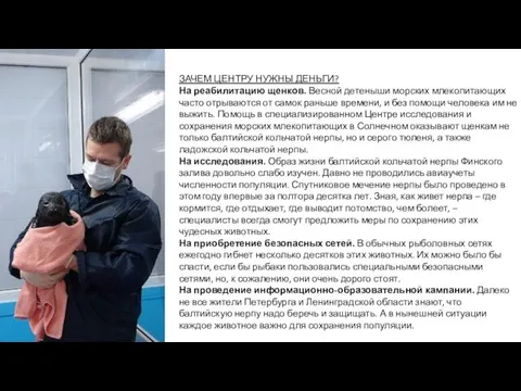 ЗАЧЕМ ЦЕНТРУ НУЖНЫ ДЕНЬГИ? На реабилитацию щенков. Весной детеныши морских млекопитающих