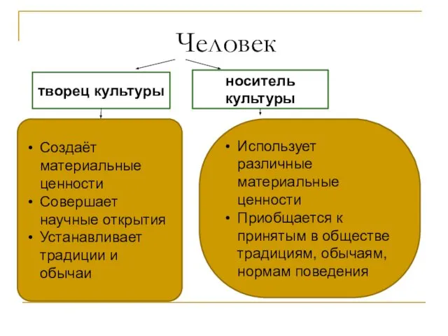 Человек творец культуры носитель культуры Создаёт материальные ценности Совершает научные открытия