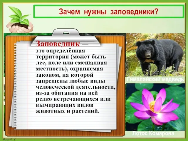 Зачем нужны заповедники? Амурский тигр Белая сова Гималайский медведь Ландыш майский