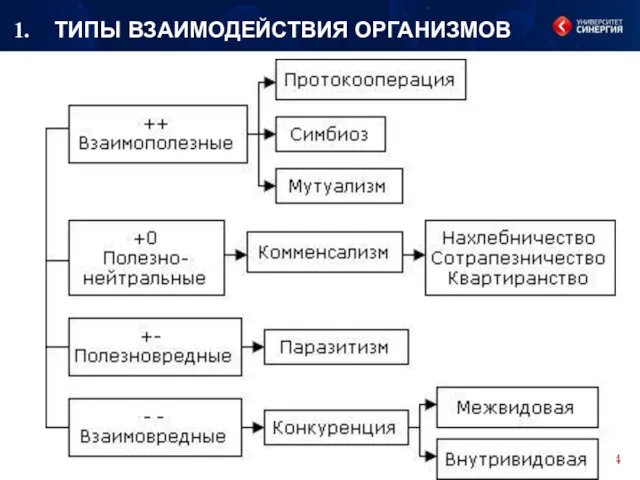 ТИПЫ ВЗАИМОДЕЙСТВИЯ ОРГАНИЗМОВ