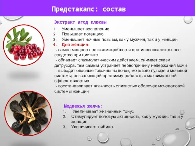 Состав Предстакапс: состав Экстракт ягод клюквы Уменьшает воспаление Повышает потенцию Уменьшает