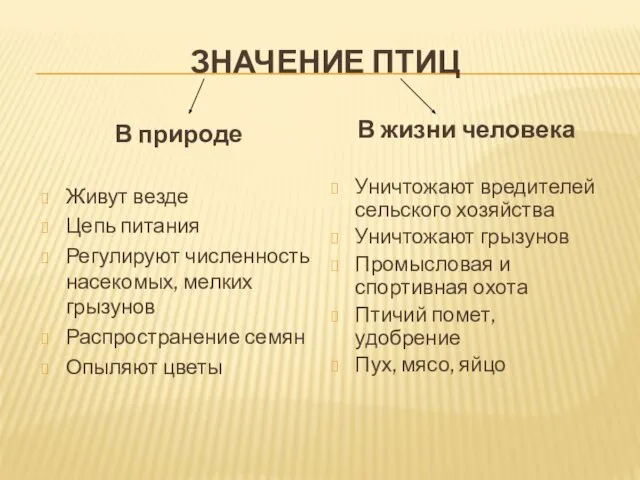 ЗНАЧЕНИЕ ПТИЦ В природе Живут везде Цепь питания Регулируют численность насекомых,