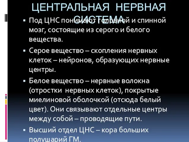 ЦЕНТРАЛЬНАЯ НЕРВНАЯ СИСТЕМА Под ЦНС понимают головной и спинной мозг, состоящие