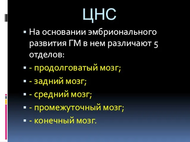 ЦНС На основании эмбрионального развития ГМ в нем различают 5 отделов: