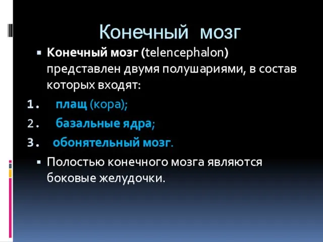 Конечный мозг Конечный мозг (telencephalon) представлен двумя полушариями, в состав которых