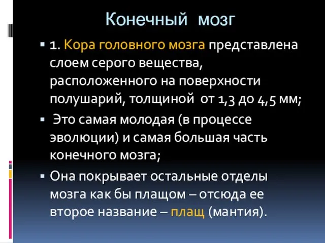 Конечный мозг 1. Кора головного мозга представлена слоем серого вещества, расположенного