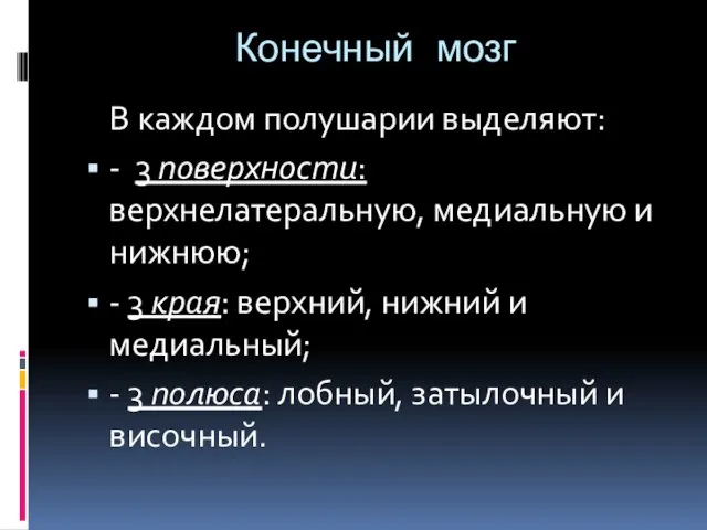 Конечный мозг В каждом полушарии выделяют: - 3 поверхности: верхнелатеральную, медиальную