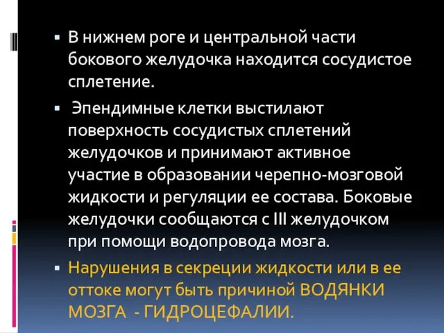 В нижнем роге и центральной части бокового желудочка находится сосудистое сплетение.