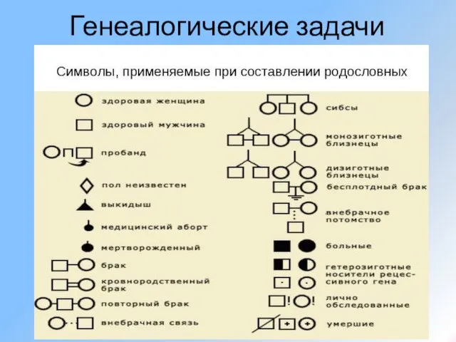 Генеалогические задачи