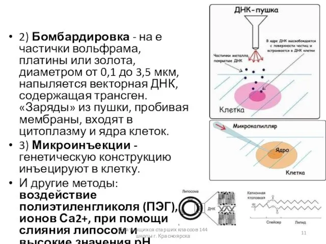 2) Бомбардировка - на е частички вольфрама, платины или золота, диаметром