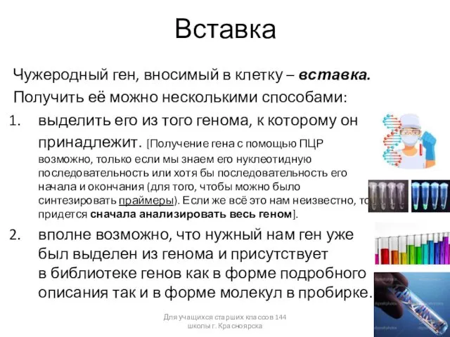 Вставка Чужеродный ген, вносимый в клетку – вставка. Получить её можно