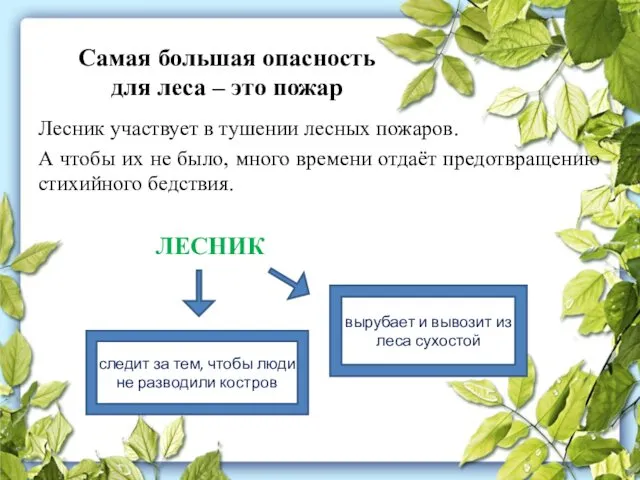 Самая большая опасность для леса – это пожар Лесник участвует в