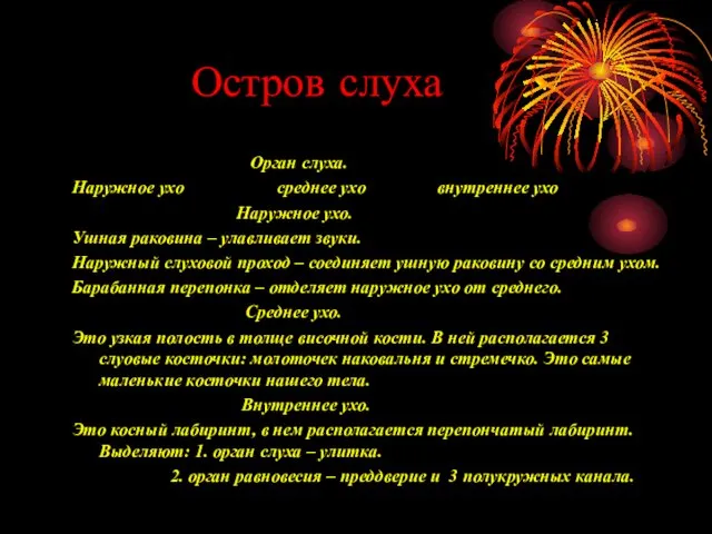 Остров слуха Орган слуха. Наружное ухо среднее ухо внутреннее ухо Наружное