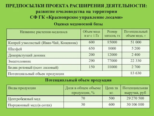 ПРЕДПОСЫЛКИ ПРОЕКТА РАСШИРЕНИЯ ДЕЯТЕЛЬНОСТИ: развитие пчеловодства на территории СФ ГК «Красноярское