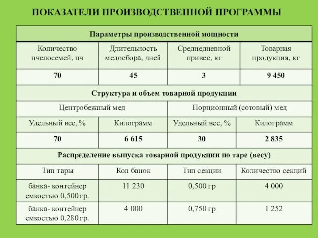 ПОКАЗАТЕЛИ ПРОИЗВОДСТВЕННОЙ ПРОГРАММЫ