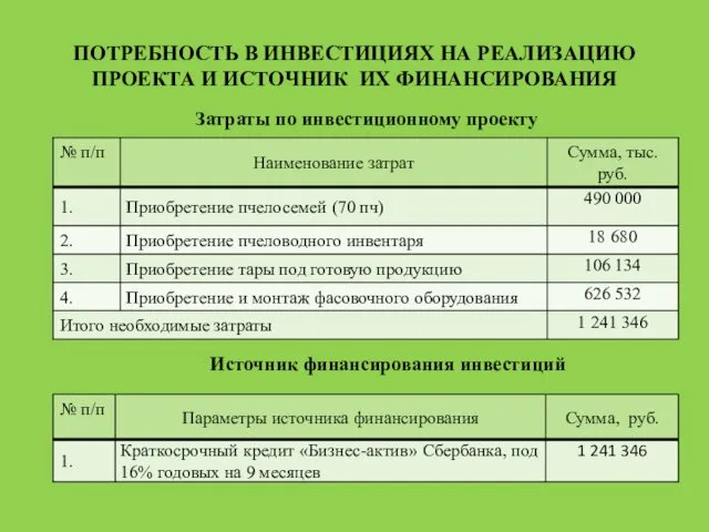 ПОТРЕБНОСТЬ В ИНВЕСТИЦИЯХ НА РЕАЛИЗАЦИЮ ПРОЕКТА И ИСТОЧНИК ИХ ФИНАНСИРОВАНИЯ Затраты