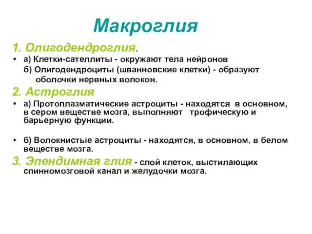 Макроглия 1. Олигодендроглия. а) Клетки-сателлиты - окружают тела нейронов б) Олигодендроциты