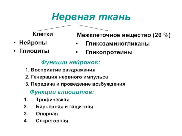 Нервная ткань Клетки Нейроны Глиоциты Функции нейронов: 1. Восприятие раздражения 2.