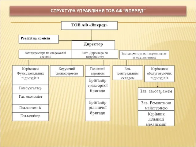 СТРУКТУРА УПРАВЛІННЯ ТОВ АФ “ВПЕРЕД”