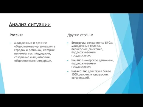 Анализ ситуации Россия: Молодежные и детские общественные организации в городах и