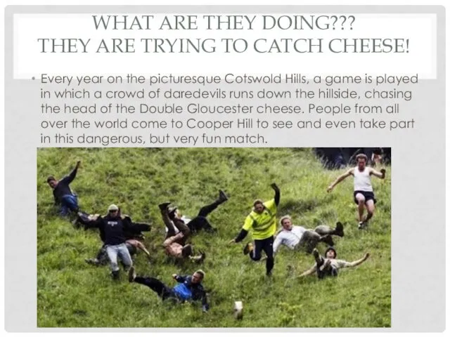 WHAT ARE THEY DOING??? THEY ARE TRYING TO CATCH CHEESE! Every